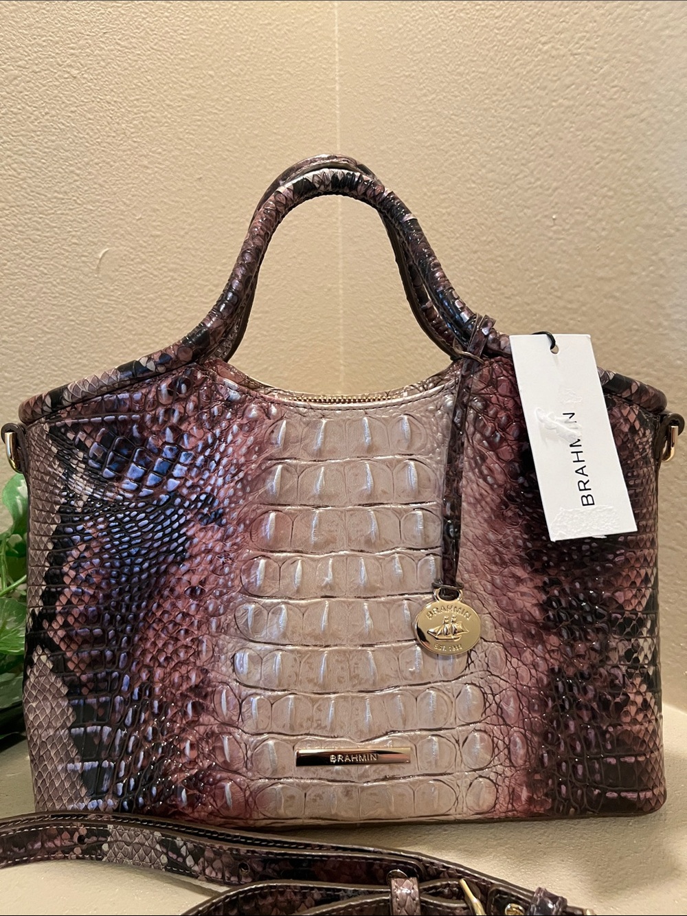 Brahmin Small Elaine